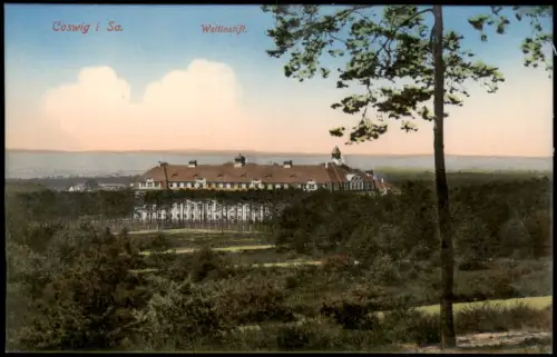 Ansichtskarte Coswig (Sachsen) Fernsicht auf den Wettinstift. 1915