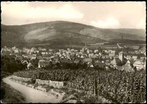 Ansichtskarte Lohrhaupten Panorama-Ansicht 1959