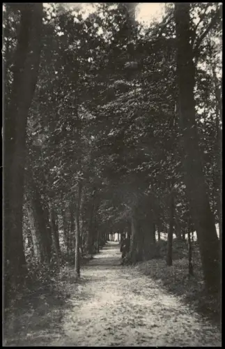 Ansichtskarte Belgern Promenadenweg. 1915