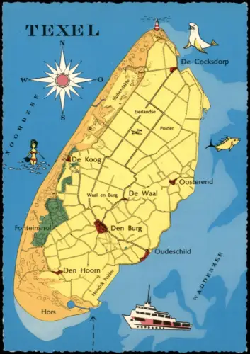 .Niederlande Niederlande ) TEXEL Landkarte Stadtkarte Map-Postcard 1970
