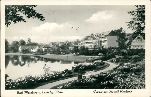 Ansichtskarte Horn-Bad Meinberg Partie am Kurhaus 1960