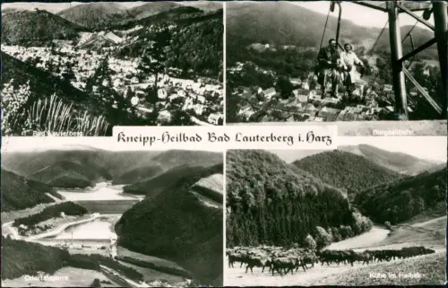Ansichtskarte Bad Lauterberg im Harz 4 Bild Sessellift Talsperre Kühe 1969