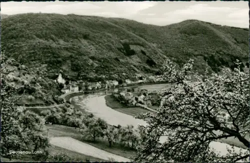 Ansichtskarte Dausenau Fernblick auf die Stadt . Baumblüte - Fotokarte 1965