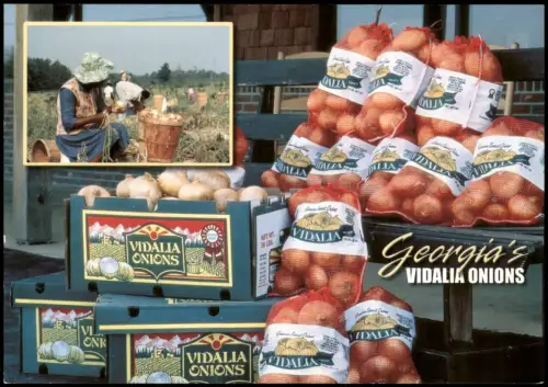 .USA United States America VIDALIA ONIONS Georgia Taste Zwiebeln Amerika 2000