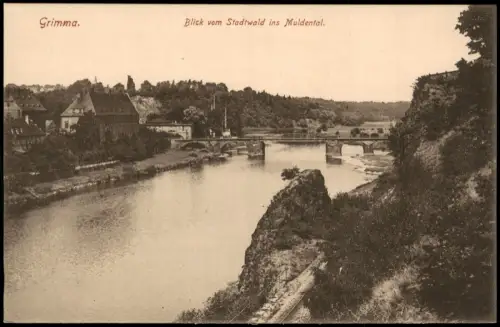 Ansichtskarte Grimma Blick vom Stadtwald ins Muldental. 1913