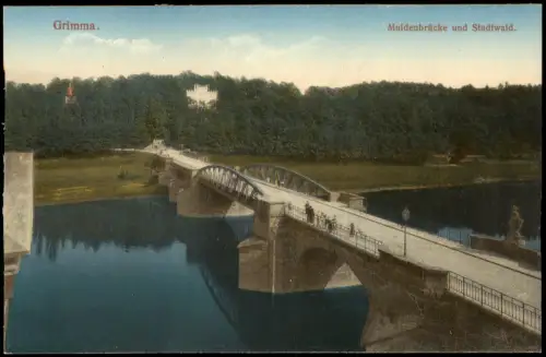 Ansichtskarte Grimma Muldenbrücke und Stadtwald. 1915