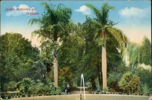 La Orotava Jardin Botanico Kanaren 1914  Hamburg Südamerika Linie Schiffspost
