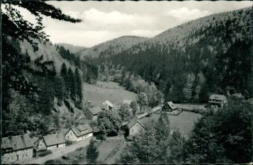 Ansichtskarte Zorge Blick ins Wolfsbachtal 1957