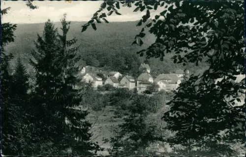 Ansichtskarte Neckarsteinach Blick auf Pension Zobel 1966