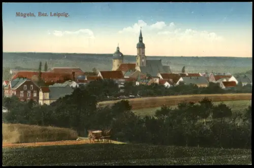 Ansichtskarte Mügeln Blick auf die Stadt 1915
