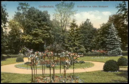 Ansichtskarte Großenhain Rosenflora im Alten Stadtpark. 1915