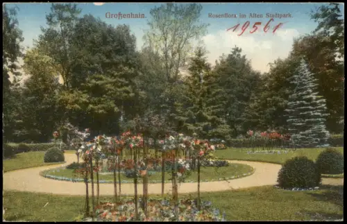 Ansichtskarte Großenhain Rosenflora im Alten Stadtpark. 1915