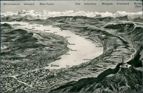 Ansichtskarte Zürich Aus der Vogelschau mit See Beschreibung 1952
