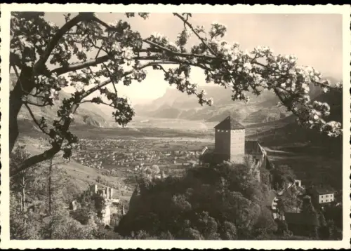 Cartolina Meran Merano Schloss Tirol mit Blick auf Meran 1955