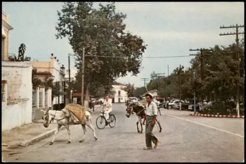 Postale Marbella Straßenszene mit Lasttieren und Radfahrer 1960