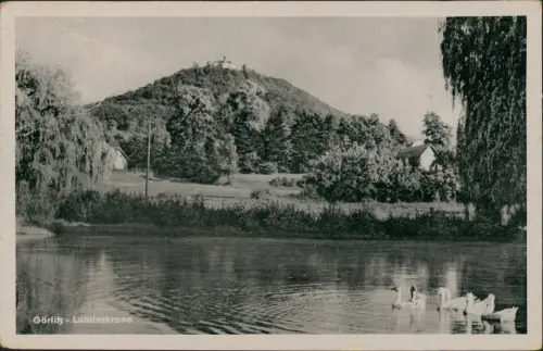 Ansichtskarte Görlitz Zgorzelec Landeskrone zur DDR-Zeit 1955