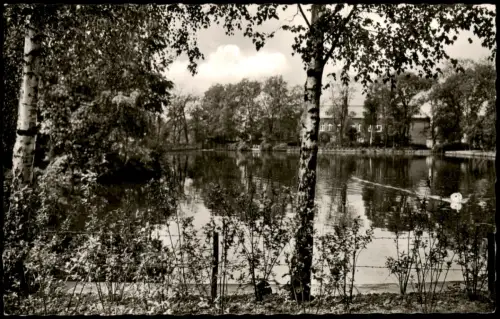 Ansichtskarte Holzminden Unterer Teich - Birken 1965