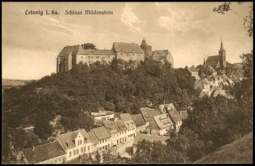 Ansichtskarte Leisnig Schloss Mildenstein - Straßenpartie 1908