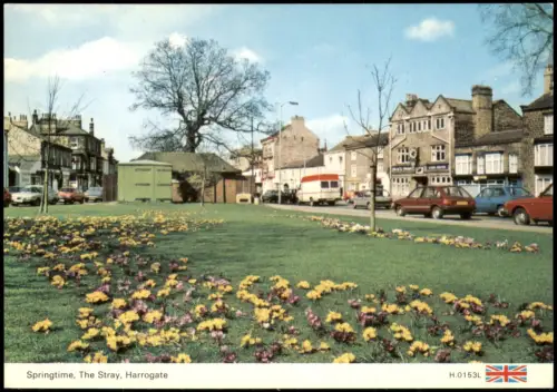 Postcard Harrogate Frühlingsblüte im Park 'The Stray' 1980