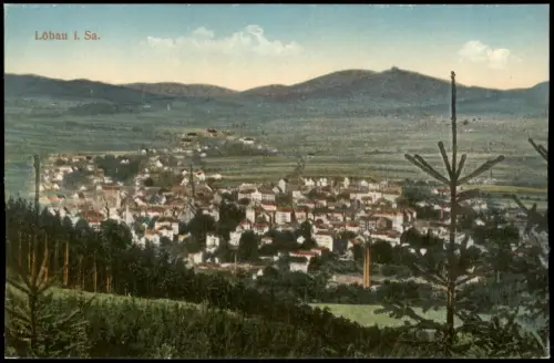 Ansichtskarte Löbau Blick vom Hang auf die Stadt 1915