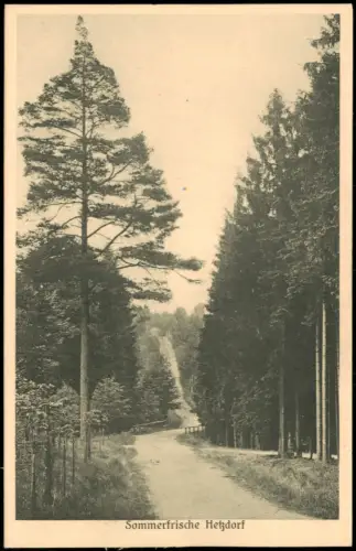 Ansichtskarte Hetzdorf-Flöha (Sachsen) Waldweg 1927