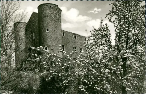 Ansichtskarte Eschweiler Nothberger Burg, Baumblüte 1962
