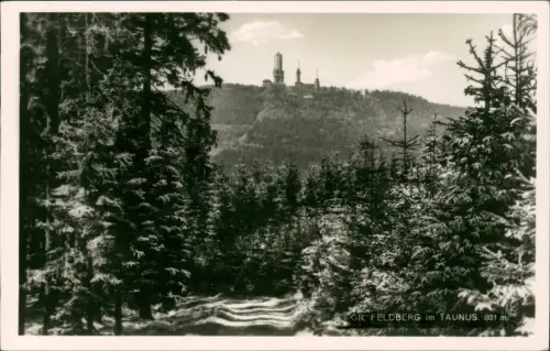 Feldberg (Schwarzwald) Feldberg durch den Tannenwald gesehen Fotokarte 1960
