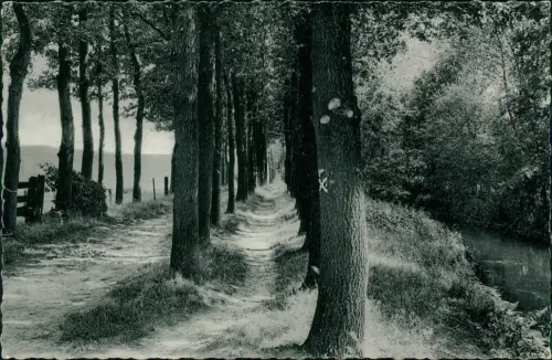 Ansichtskarte Harsewinkel Wanderweg an der Lutter 1963  b. Gütersloh