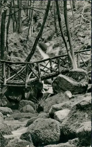 Ansichtskarte Sasbachwalden Schwarzwald Gaishölle - Fotokarte 1964