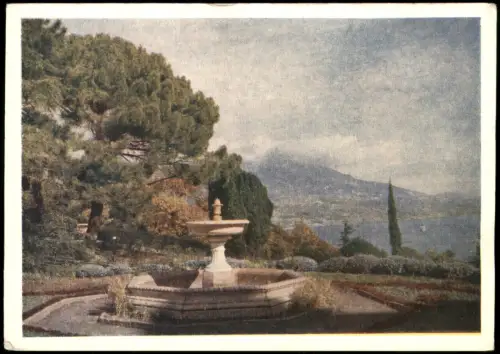 Postcard Livadia Livadia In the park Лівадія. В парку. 1961