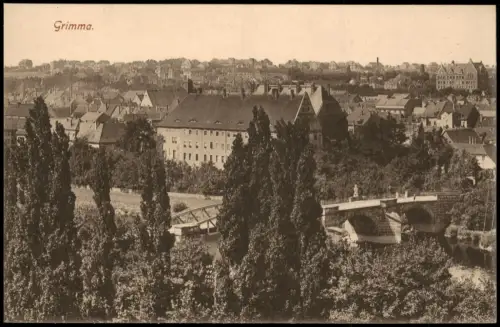 Ansichtskarte Grimma Brücke und Fürstenschule 1915