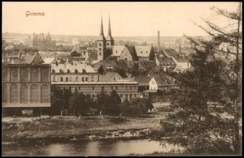 Ansichtskarte Grimma Stadtpartie 1915