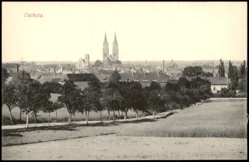 Ansichtskarte Oschatz Weg zur Stadt 1915