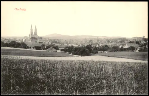 Ansichtskarte Oschatz Blick vom Feld auf die Stadt 1915