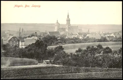 Ansichtskarte Mügeln Blick auf die Stadt - Fuhrwerk 1915