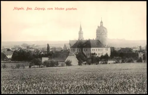 Ansichtskarte Mügeln Fernblick auf die Stadt 1915