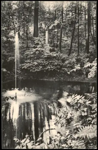 Frankenberg (Sachsen) Parie im Lützeltal Teich Farne und Fontaine 1915