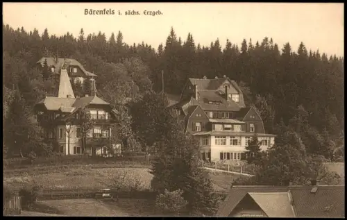 Ansichtskarte Bärenfels (Erzgebirge)-Altenberg (Erzgebirge) Stadtvillen 1927