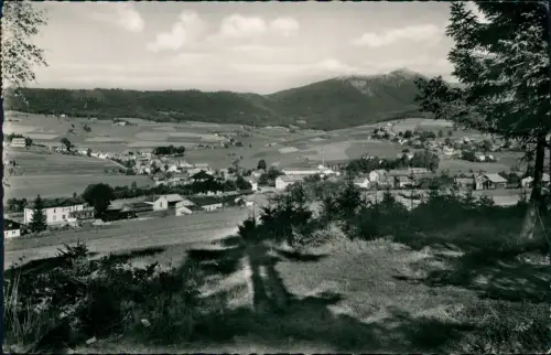 Ansichtskarte Lam (Oberpfalz) Partie an der Stadt 1958