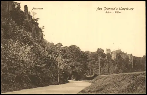 Ansichtskarte Grimma Feueresse Schloss Döben 1915