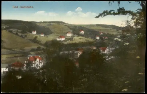 Ansichtskarte Bad Gottleuba-Berggießhübel Stadtblick 1915