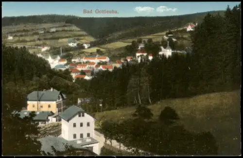 Ansichtskarte Bad Gottleuba-Berggießhübel Straßenszene am Hang 1915