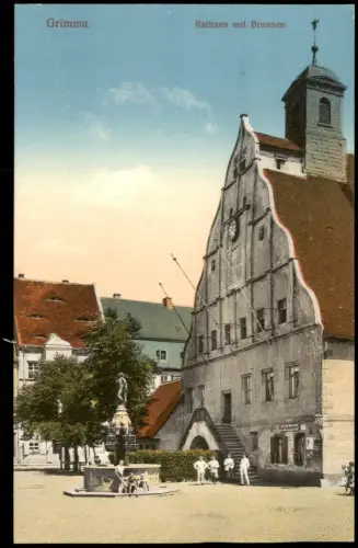 Ansichtskarte Grimma Rathaus Brunnen und Soldaten 1915