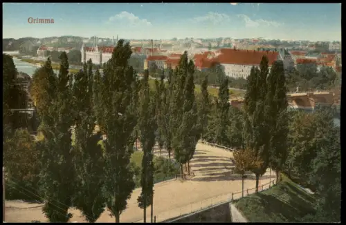 Ansichtskarte Grimma Stadt Straße - Blick auf die Stadt 1915