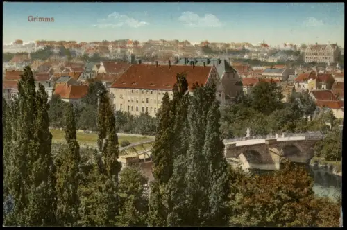 Ansichtskarte Grimma Stadt und Brücke 1915