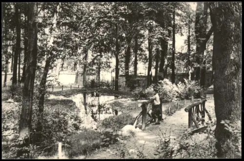 Ansichtskarte Hainichen Im Stadtpark - Brücke 1915