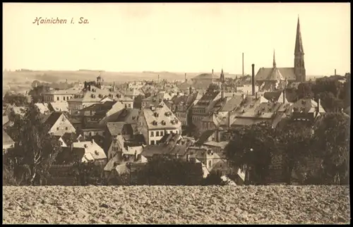 Ansichtskarte Hainichen Blick vom Hang auf die Stadt 1915