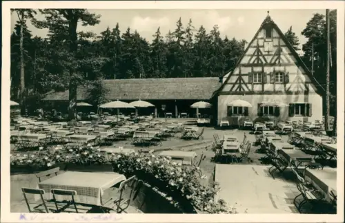 Ansichtskarte Nürnberg Tiergarten Gaststätte und Café Waldschänke 1954