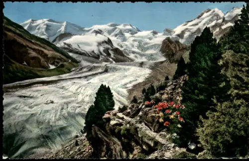 .Schweiz Morteratsch-Gletscher mit Piz Palü, Bellavista und Piz Bernina 1955