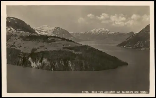 .Schweiz Schweizer Alpen Blick Axenstein auf Seelisberg und Pilatus 1925
